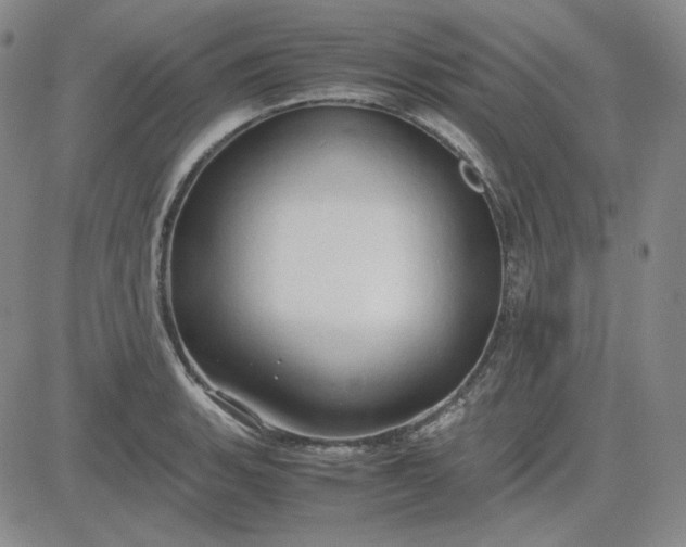 X0000083621135200702260947