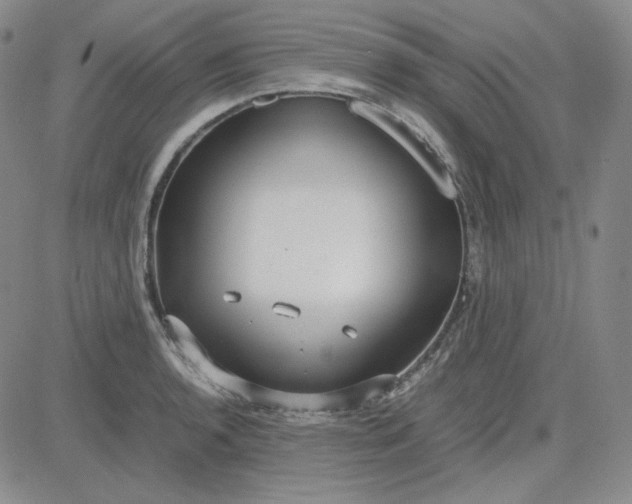 X0000083621136200702260947