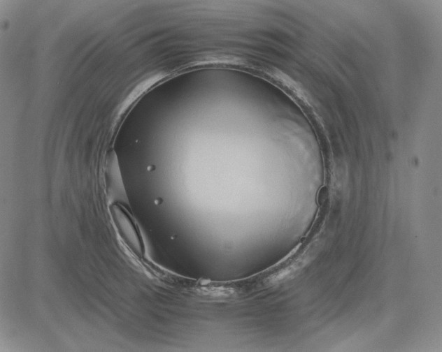 X0000083621137200702260947