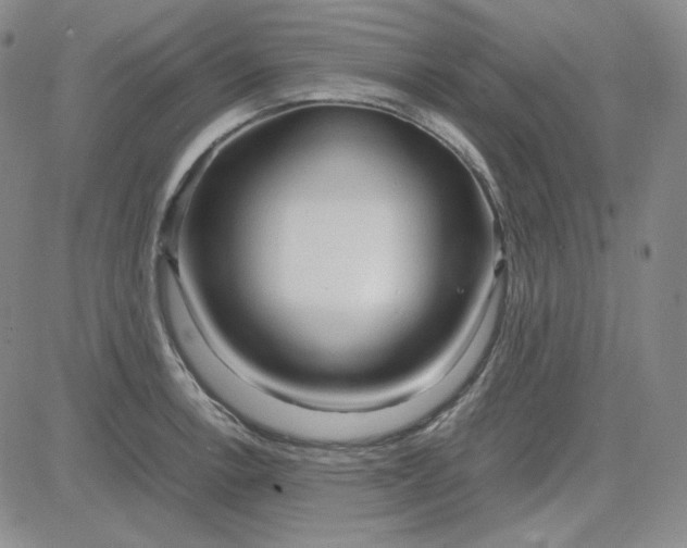 X0000083621138200702260947