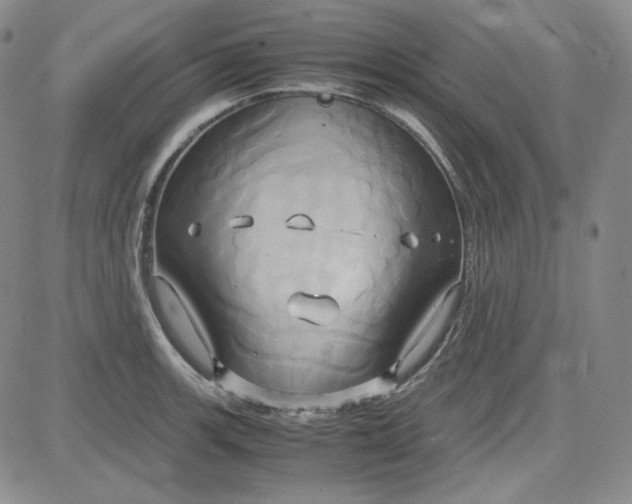 X0000083621139200702260947