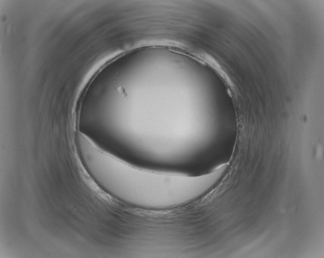 X0000083621140200702260947