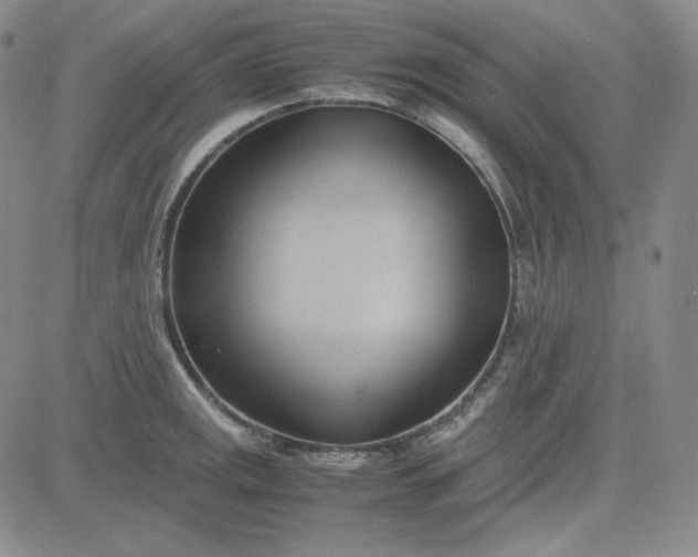 X0000083621141200702260947