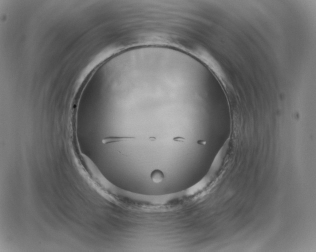 X0000083621142200702260947