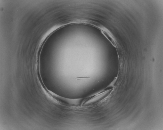 X0000083621143200702260947