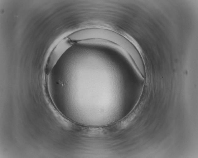 X0000083621144200702260947