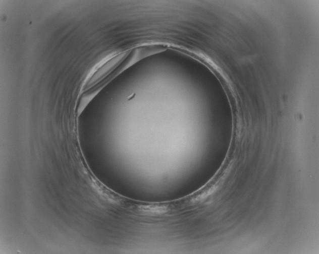 X0000083621145200702260947