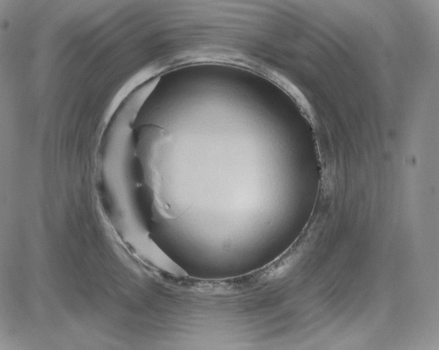 X0000083621146200702260947