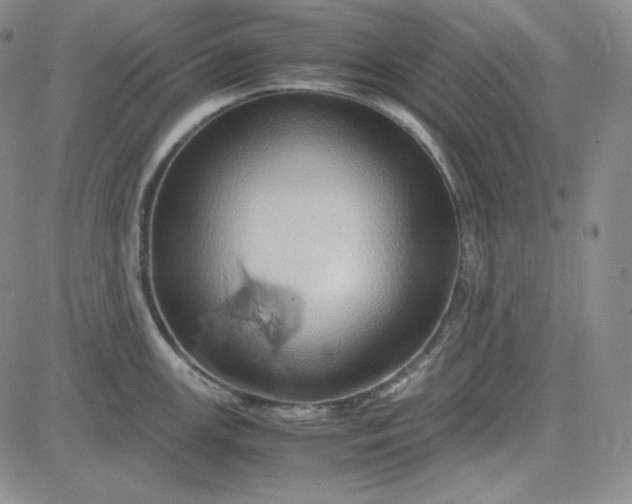 X0000083621147200702260947