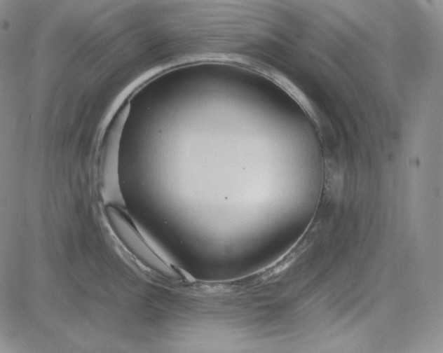 X0000083621148200702260947