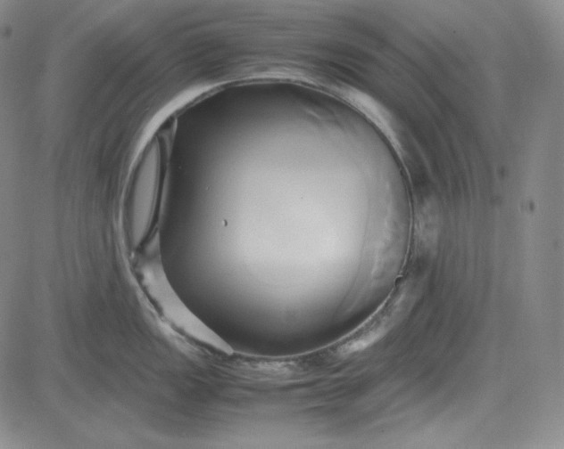 X0000083621149200702260947