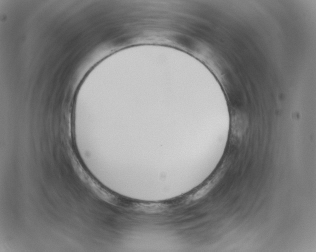 X0000083621150200702260947