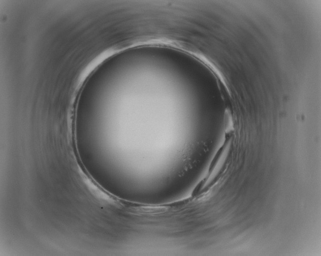 X0000083621151200702260947