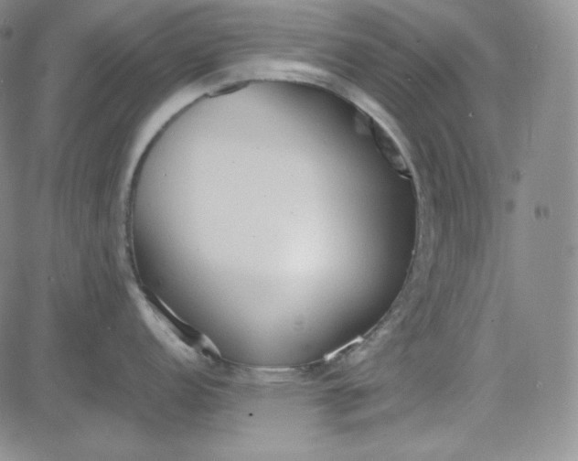 X0000083621152200702260947