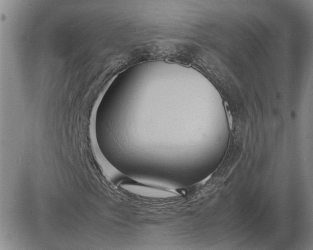 X0000083621153200702260946