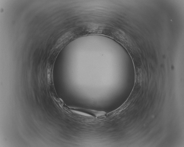 X0000083621154200702260946