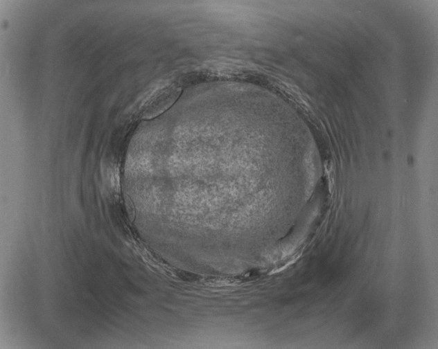 X0000083621155200702260946