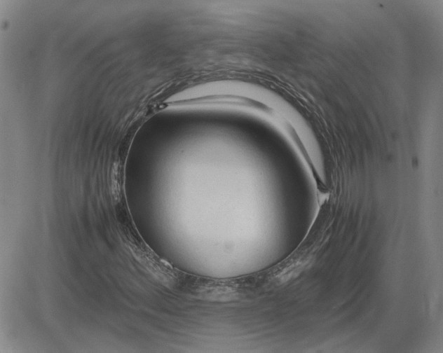 X0000083621156200702260946