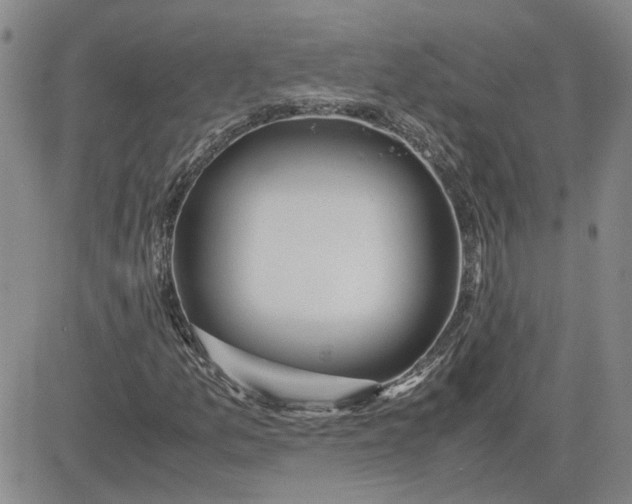 X0000083621157200702260946