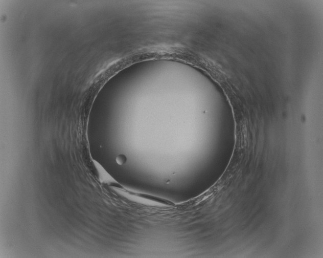 X0000083621158200702260946