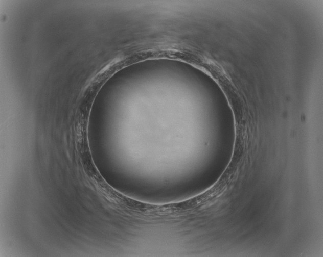 X0000083621159200702260946