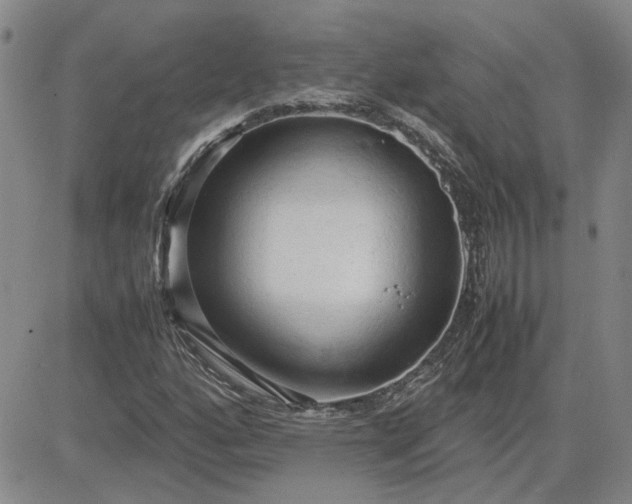 X0000083621160200702260946