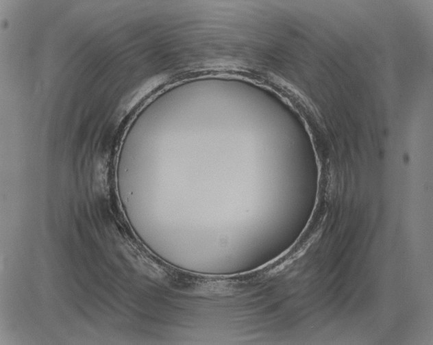 X0000083621162200702260946