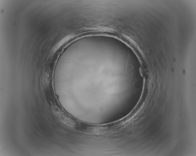 X0000083621163200702260946