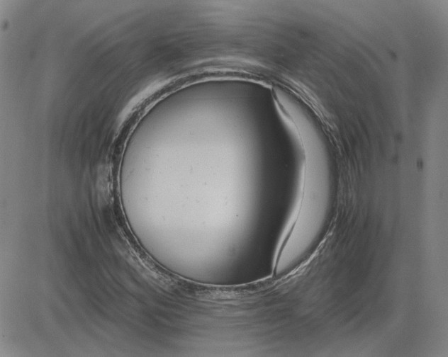 X0000083621164200702260946