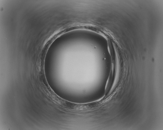 X0000083621165200702260946