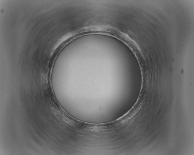 X0000083621166200702260946