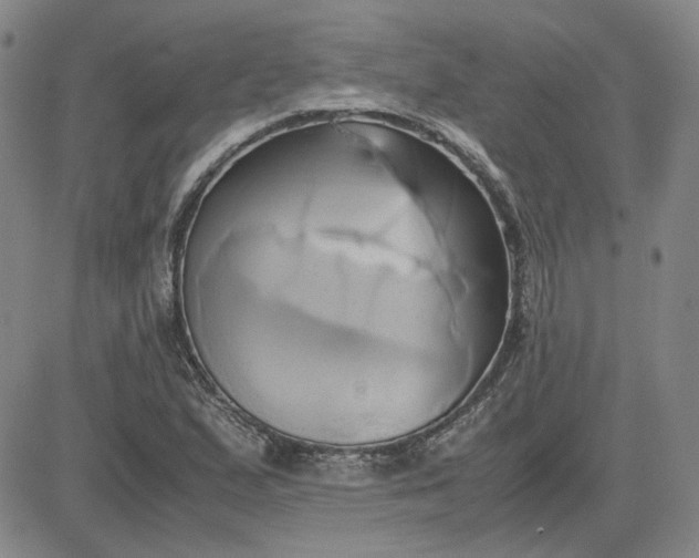 X0000083621167200702260946