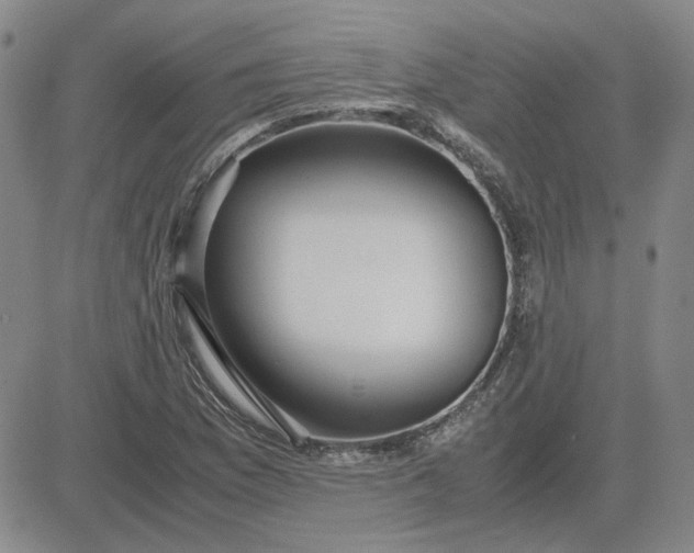 X0000083621169200702260946