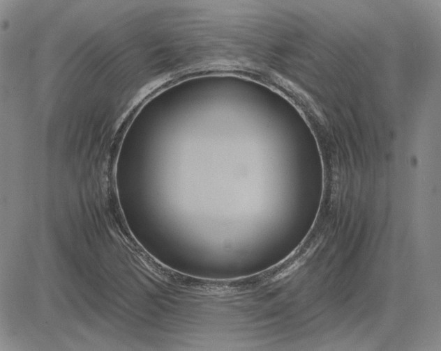 X0000083621170200702260946