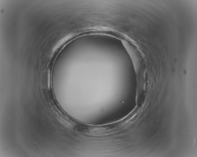 X0000083621171200702260946