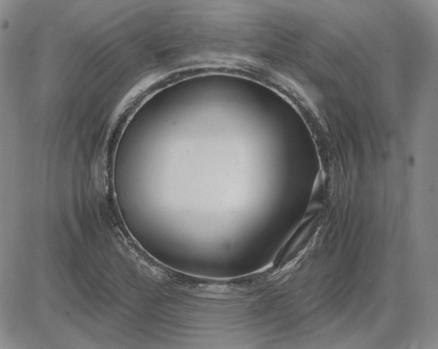 X0000083621172200702260946