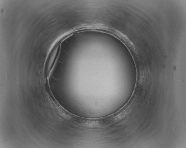 X0000083621174200702260946