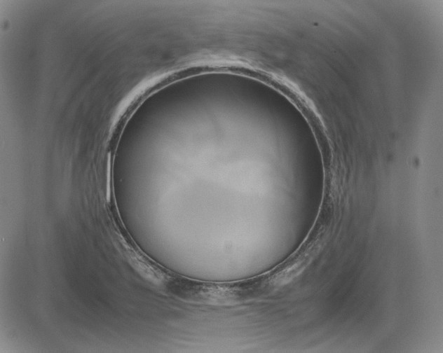 X0000083621175200702260946