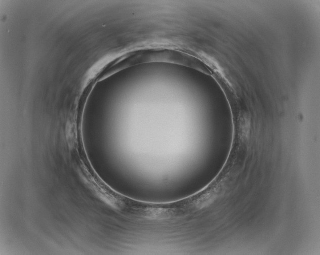 X0000083621176200702260946