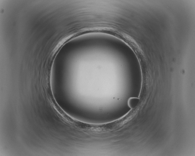 X0000083621177200702260946