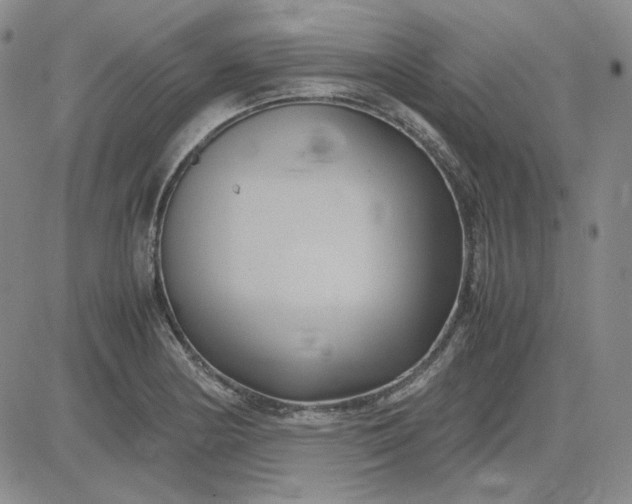 X0000083621178200702260946