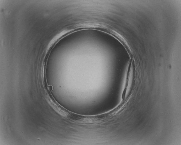 X0000083621179200702260946