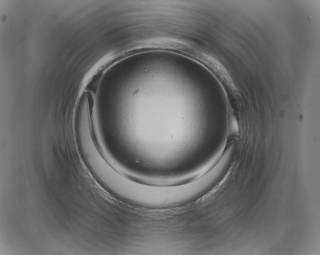 X0000083621180200702260946