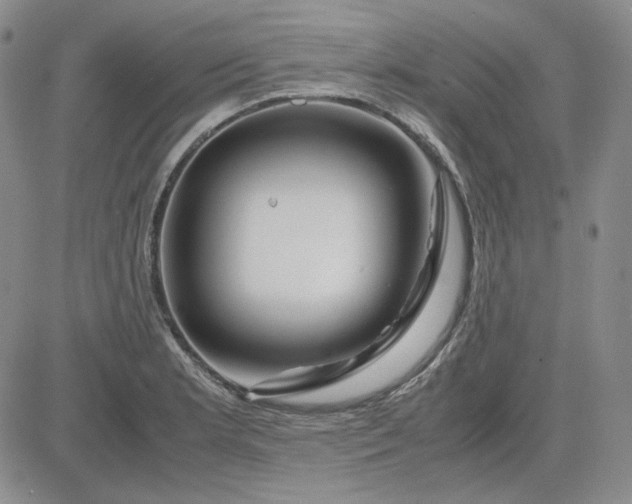 X0000083621181200702260946