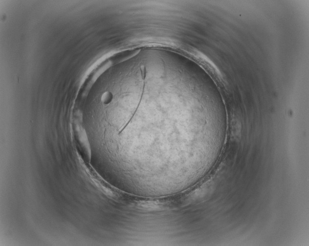 X0000083621182200702260946