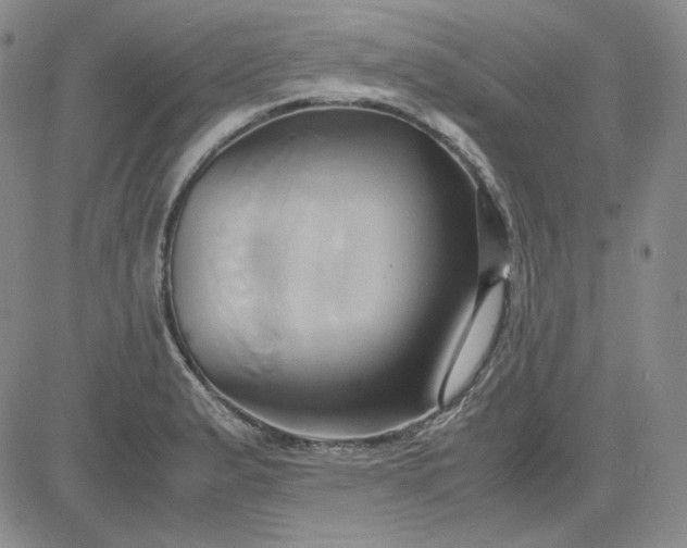 X0000083621183200702260946