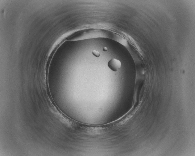 X0000083621184200702260946