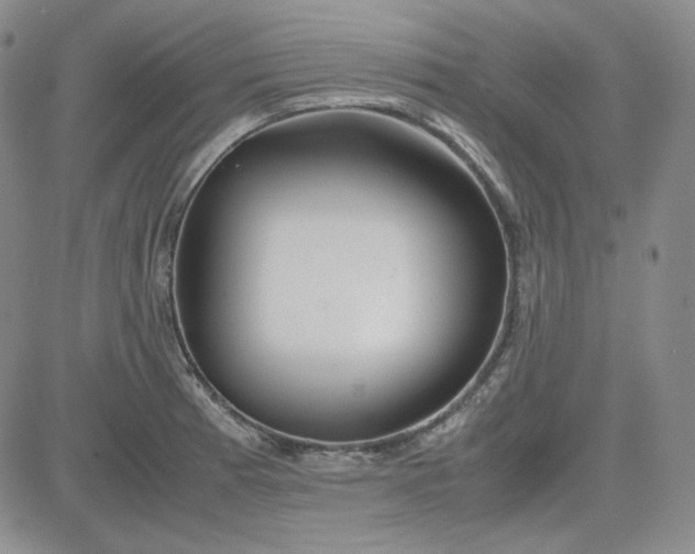 X0000083621185200702260945