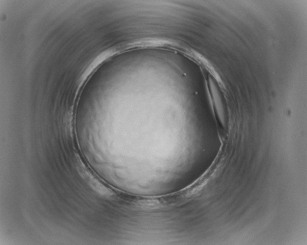 X0000083621186200702260945