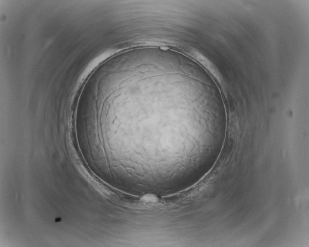 X0000083621187200702260945